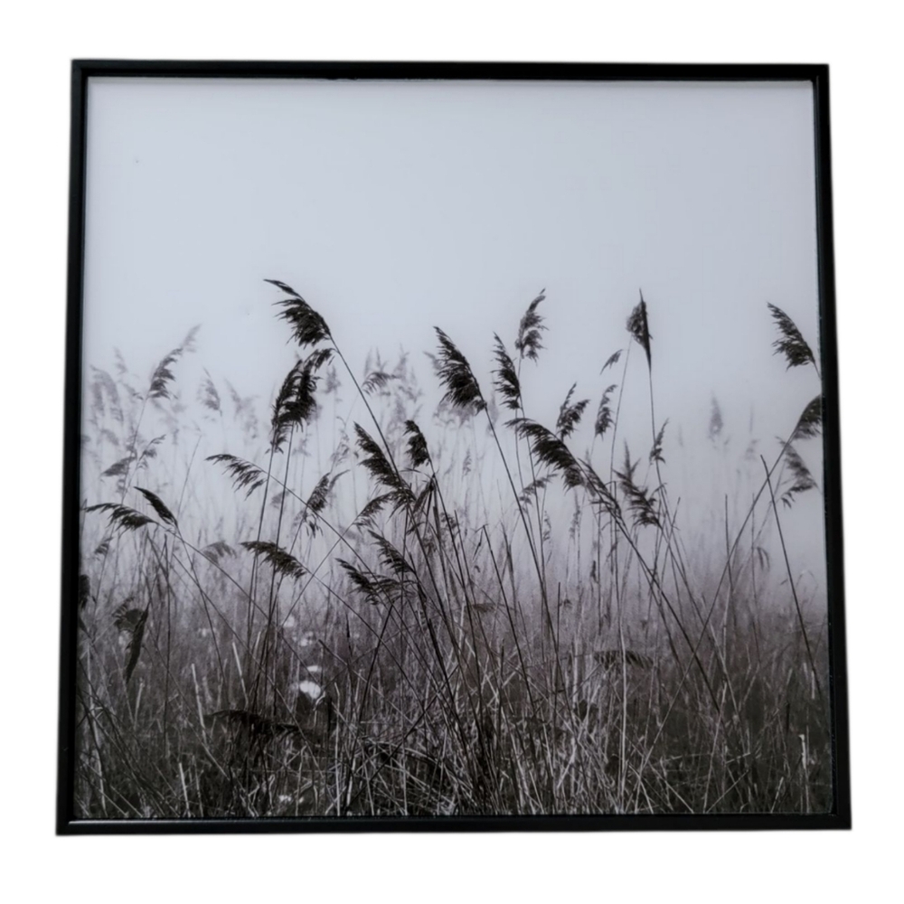 (C) Black/White Crystal Glass Wall Decor